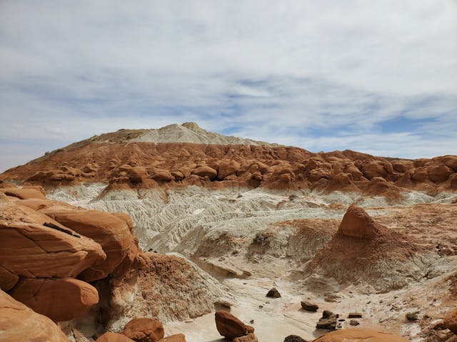 Desert Rock Landscaping