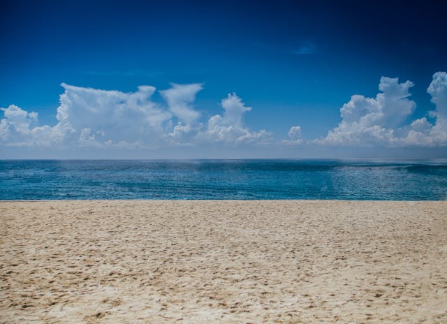 Landscaping Ideas With Sand: Create a Beach-Inspired Retreat in Your Backyard